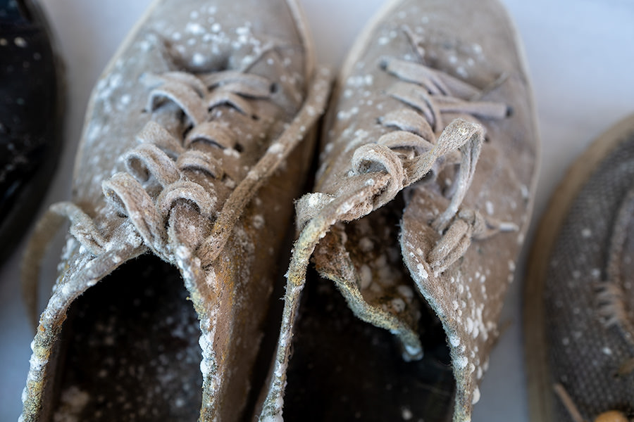 schimmel im schuh
