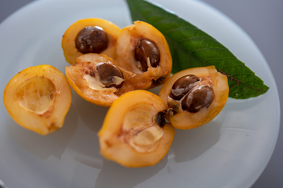 fruits